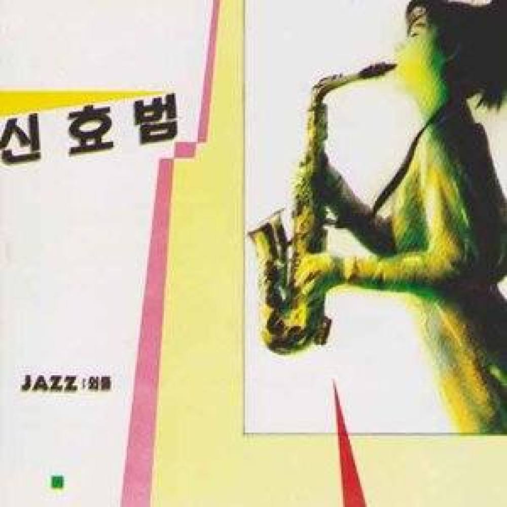 화려한 외출