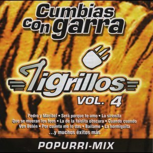 ดาวน์โหลดและฟังเพลง Deja que lo baile bien พร้อมเนื้อเพลงจาก Los Tigrillos