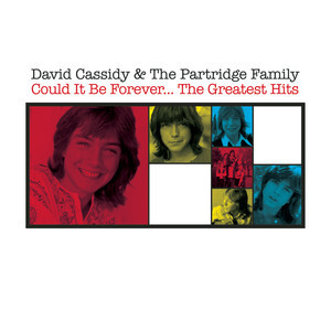 收聽David Cassidy的Rock Me Baby歌詞歌曲