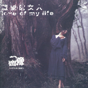 Dengarkan lagu The Music Of The Night nyanyian 齐豫 dengan lirik