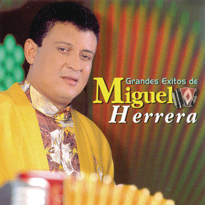 ดาวน์โหลดและฟังเพลง Pastillita (Album Version) พร้อมเนื้อเพลงจาก Miguel Herrera