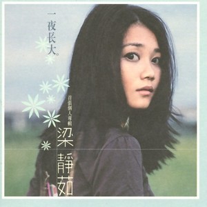 Listen to 对不起我爱你 song with lyrics from Fish Leong (梁静茹)