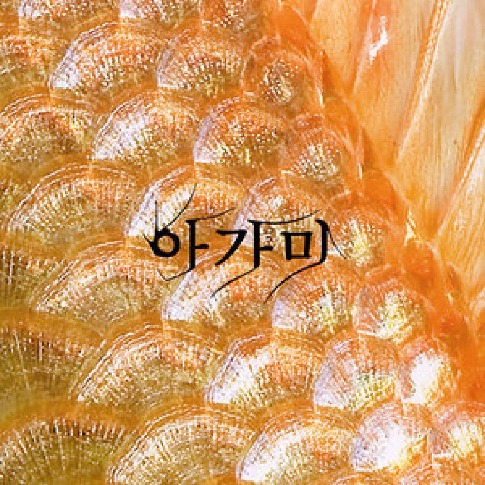 사랑 노래