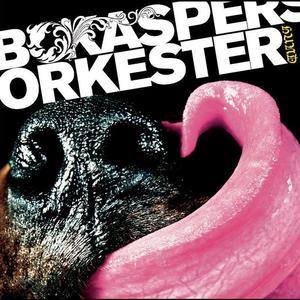 收聽Bo Kaspers Orkester的Hund歌詞歌曲