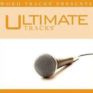 收聽Ultimate Tracks的Through The Fire (Low Key Performance Track W/O Background Vocals)歌詞歌曲