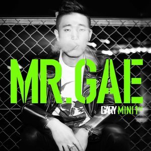 Listen to MR.GAE(FEAT.JUVIE TRAIN, 계범주) song with lyrics from Gary