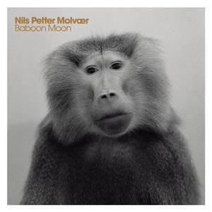 ดาวน์โหลดและฟังเพลง Coded พร้อมเนื้อเพลงจาก Nils Petter Molvaer