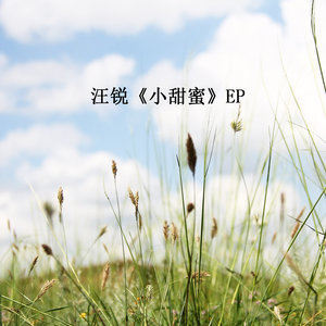ดาวน์โหลดและฟังเพลง 你说 พร้อมเนื้อเพลงจาก 汪锐