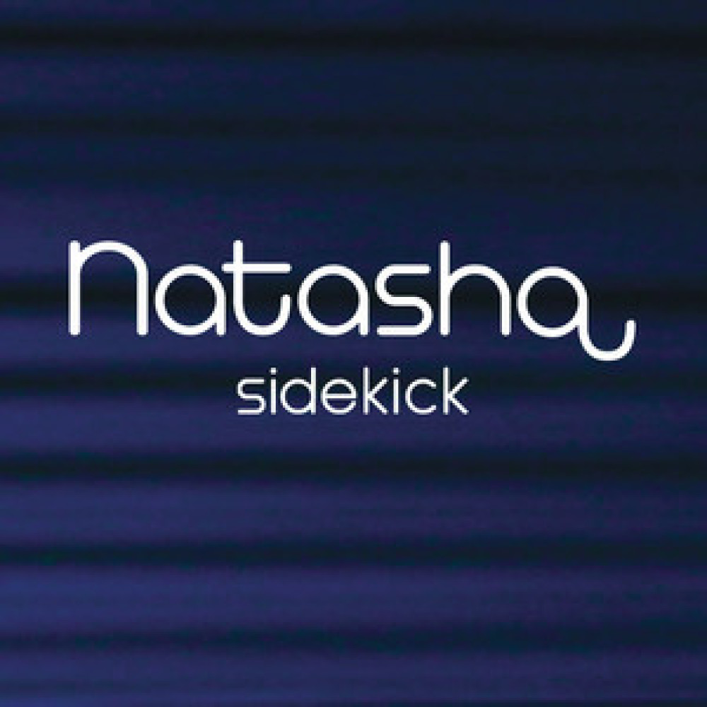Sidekick (Main Version)