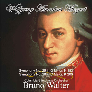 ดาวน์โหลดและฟังเพลง Symphony No. 25 in G Minor, K 183: IV. Allegro พร้อมเนื้อเพลงจาก Bruno Walter