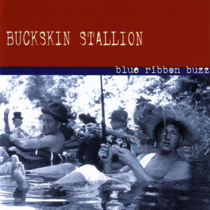 ดาวน์โหลดและฟังเพลง She Gone พร้อมเนื้อเพลงจาก Buckskin Stallion