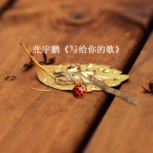 ดาวน์โหลดและฟังเพลง 写给你的歌 พร้อมเนื้อเพลงจาก 张宇鹏