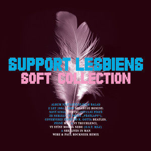 ดาวน์โหลดและฟังเพลง Please Look At Me พร้อมเนื้อเพลงจาก Support Lesbiens