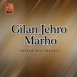 ดาวน์โหลดและฟังเพลง Sach Thi Nahey พร้อมเนื้อเพลงจาก Saleem Urs Chandio