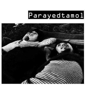 ดาวน์โหลดและฟังเพลง คุณชาคริตครับ พร้อมเนื้อเพลงจาก Parayedtamol