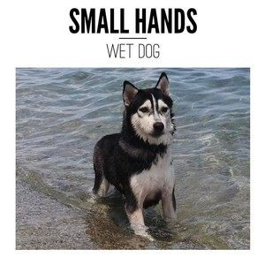 Dengarkan lagu Clasped Hands, Timid Hearts nyanyian Small Hands dengan lirik