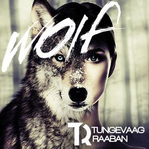 收聽Martin Tungevaag的Wolf歌詞歌曲