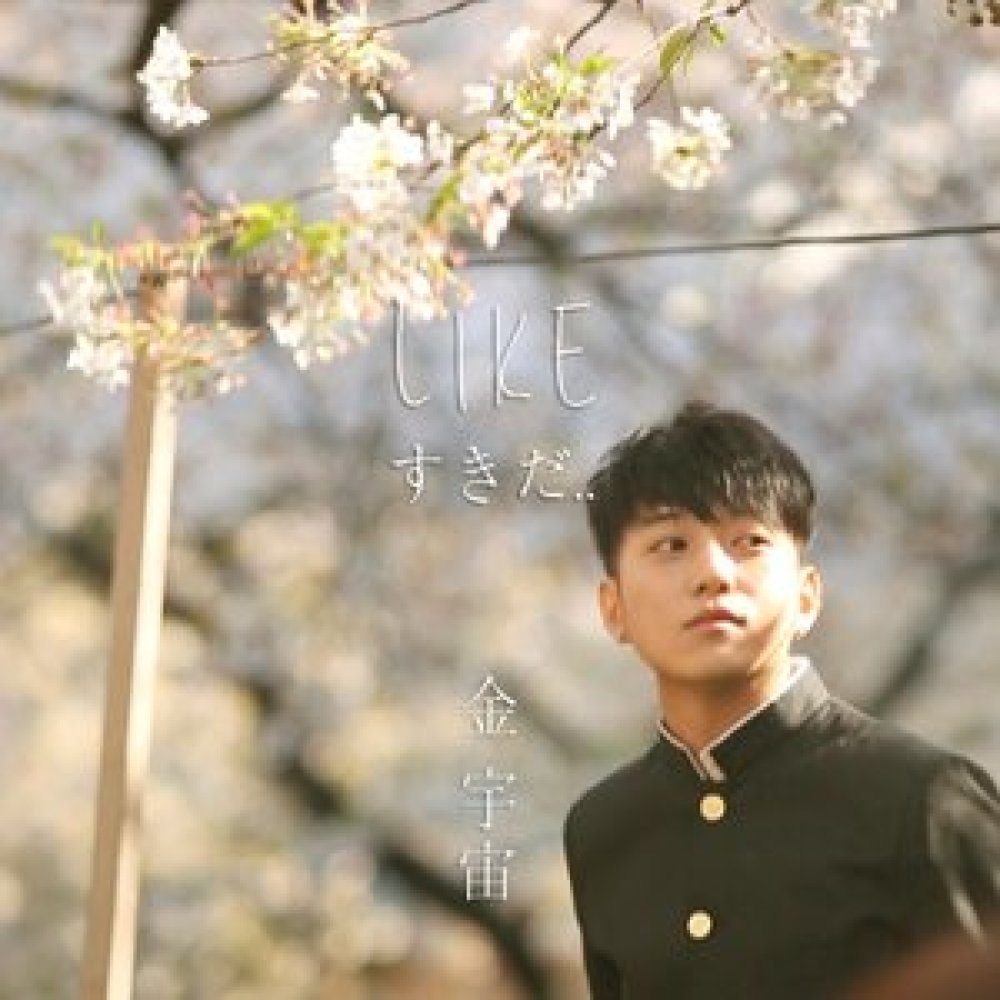 좋아해 (LIKE)