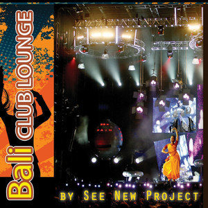 Dengarkan At Night lagu dari See New Project dengan lirik