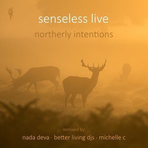 ดาวน์โหลดและฟังเพลง Let Me Out (Better Living DJs Remix) พร้อมเนื้อเพลงจาก Senseless Live