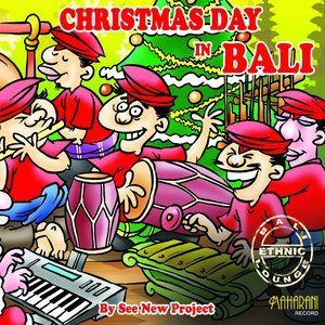 Dengarkan White Christmas lagu dari See New Project dengan lirik