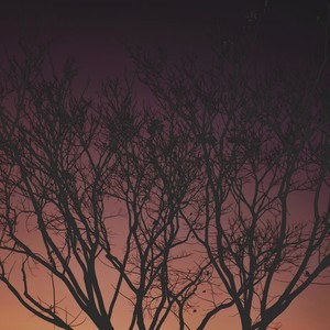 Listen to All the Seconds in Our Hours song with lyrics from Rico Blanco