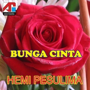 Dengarkan lagu Resah Dan Gelisah nyanyian Hemi Pesulima dengan lirik