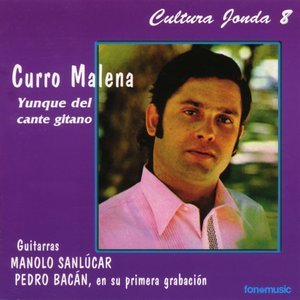 ดาวน์โหลดและฟังเพลง Espejo de Andalucía. Tarantos พร้อมเนื้อเพลงจาก Curro Malena