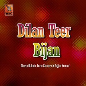 Album Dilan Teer Bijan from Shazia Baloch