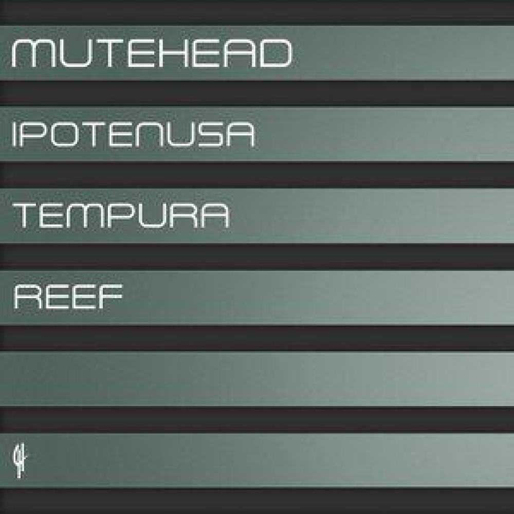 Reef