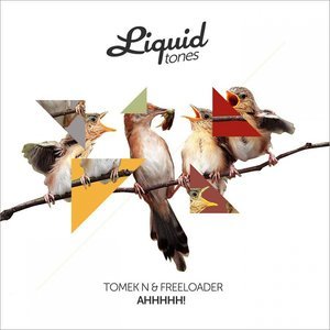 Dengarkan Align lagu dari Tomek N dengan lirik