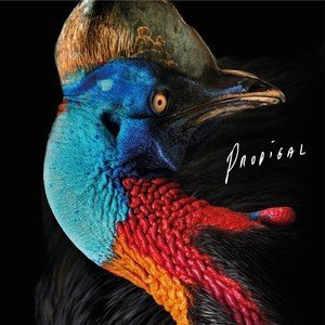 Listen to Palpitate song with lyrics from Rock Mafia
