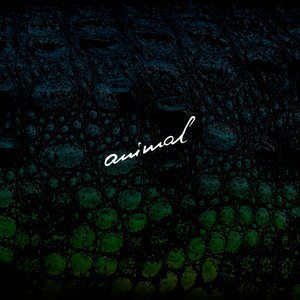ดาวน์โหลดและฟังเพลง Animal พร้อมเนื้อเพลงจาก Tapecut