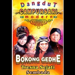 Dengarkan Urip Dhewe-Dhewe lagu dari P. Witoyo dengan lirik