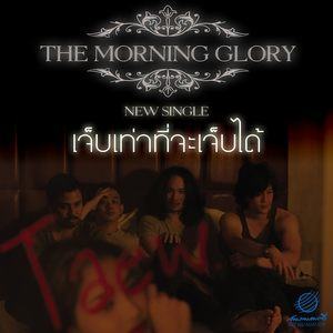 ดาวน์โหลดและฟังเพลง เจ็บเท่าที่จะเจ็บได้ พร้อมเนื้อเพลงจาก The Morning Glory