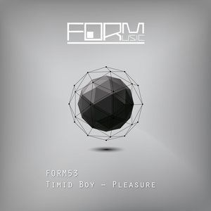 Dengarkan lagu Pleasure nyanyian Timid Boy dengan lirik