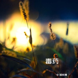 收聽趙方婧的毒藥歌詞歌曲
