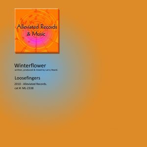 ดาวน์โหลดและฟังเพลง Winterflower พร้อมเนื้อเพลงจาก Loosefingers