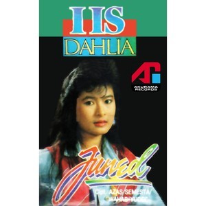 收聽Iis Dahlia的Ibarat Mencari Jarum Di Lautan歌詞歌曲