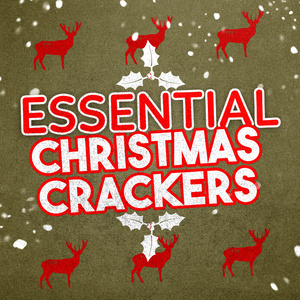 收聽Christmas Kids的Reindeer Boogie歌詞歌曲