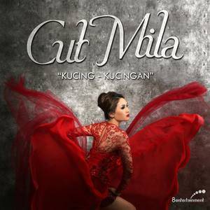 Dengarkan lagu Kucing Kucingan nyanyian Cut Mila dengan lirik
