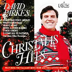 收聽David Parkes的When a Child Was Born歌詞歌曲