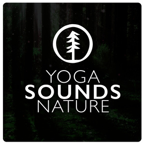 收聽Yoga Nature Sounds的Chaffinch Brook歌詞歌曲