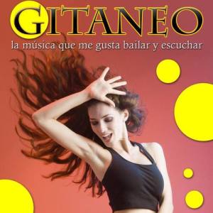 Gypsy Spanish Mixer ดาวน์โหลดและฟังเพลงฮิตจาก Gypsy Spanish Mixer