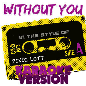 收聽Ameritz Tracks Planet的Without You (In the Style of Pixie Lott) [Karaoke Version] (Piano Version)歌詞歌曲