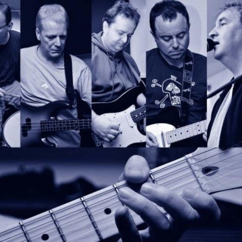 The Orchids