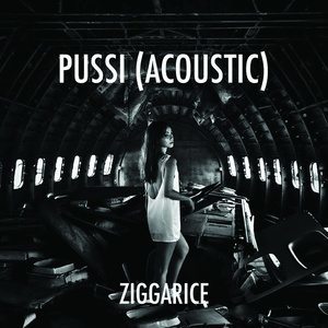 ดาวน์โหลดและฟังเพลง Pussi (Acoustic Version) (Acoustic Version|Explicit) พร้อมเนื้อเพลงจาก ZiggaRice