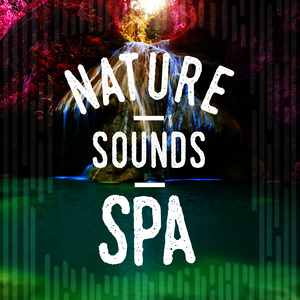 收聽Nature Spa的Stream Through the Trees歌詞歌曲