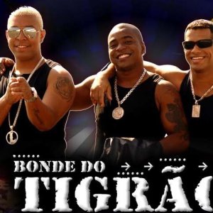 Bonde do Tigrao ดาวน์โหลดและฟังเพลงฮิตจาก Bonde do Tigrao
