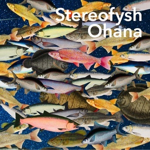 收聽Stereofysh的If I Were a Bird (其他)歌詞歌曲